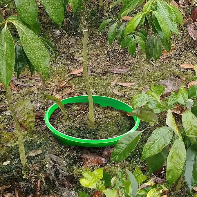 EBaokuup 6 Pcs 10 Inch Planting Grow Rings-Planting Protective Round Edging to Separate Rock and Pest-Planting Rings for Vegetables, Herbs and Flowers