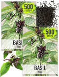 Seed Needs Basil Seeds for Planting Thai Basil Herbs - Non-GMO Heirloom & Untreated Herb Seed to Grow a Fresh Indoor or Outdoor Home Grown Culinary Garden (2 Packs)