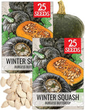 Seed Needs Winter Squash Seeds for Planting Burgess Buttercup Squashes - Non-GMO Heirloom & Untreated Vegetable Seed to Plant an Outdoor Home Grown Veggie Garden