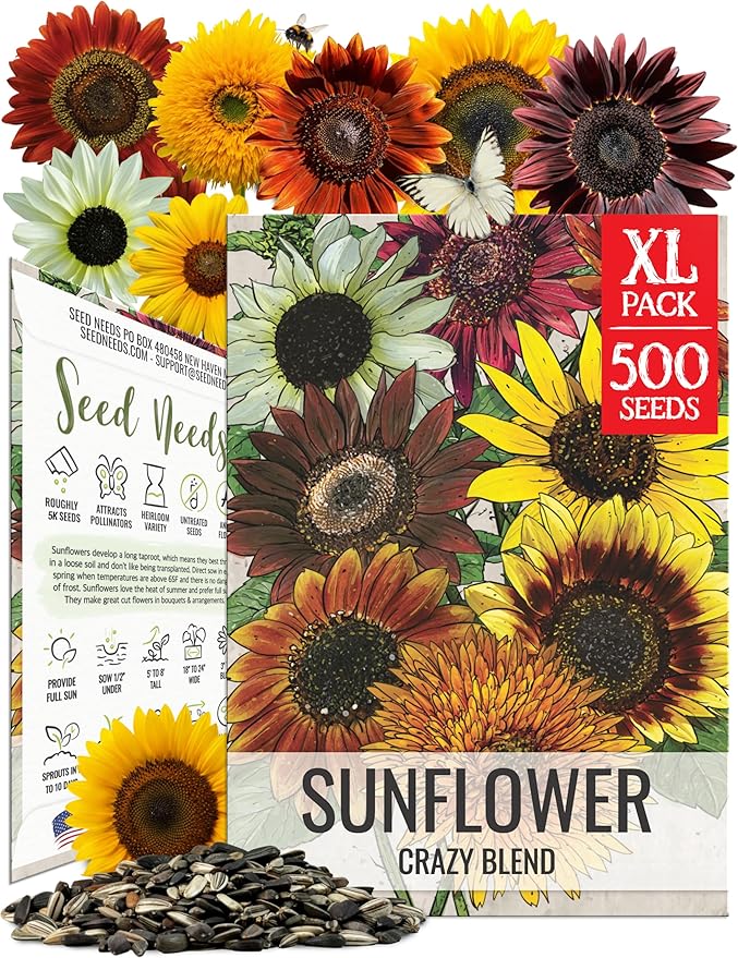 Seed Needs Sunflower Seeds to Plant The Original Crazy Blend | 500+ Heirloom Seeds 15+ Varieties Open Pollinated & Untreated | XL Packet Multicolored Blooms Flower Seed