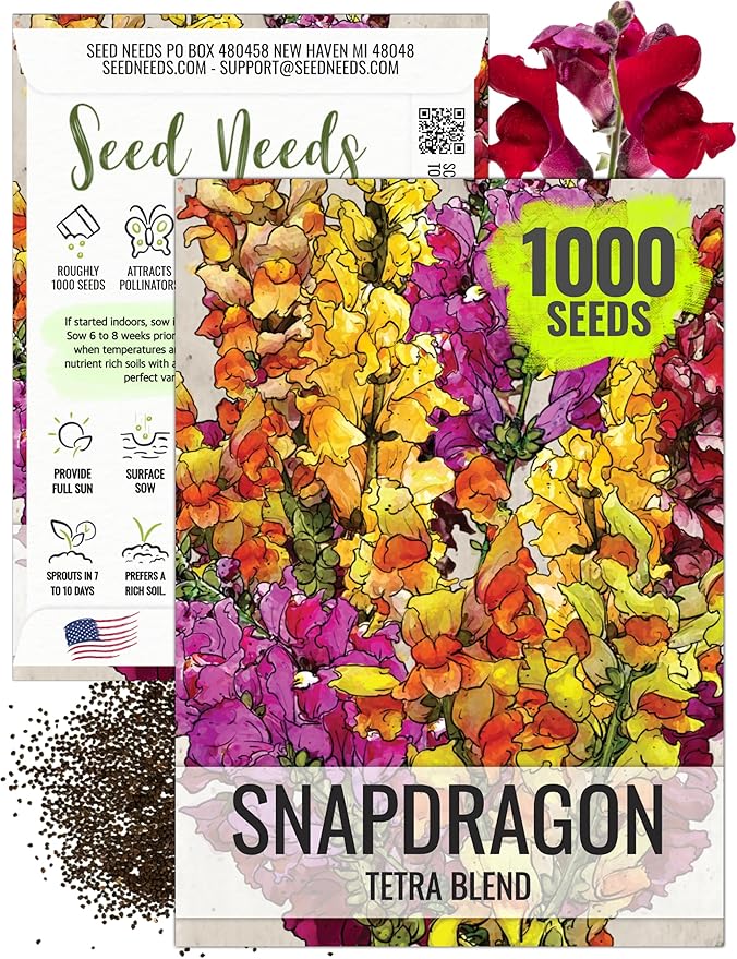 Seed Needs, Mixed Tetra Snapdragon Seeds - 1,000 Heirloom Seeds for Planting Antirrhinum majus - Annual Flowers to Attract Butterflies, Bumblebees, Honeybees & Other Pollinators (1 Pack)