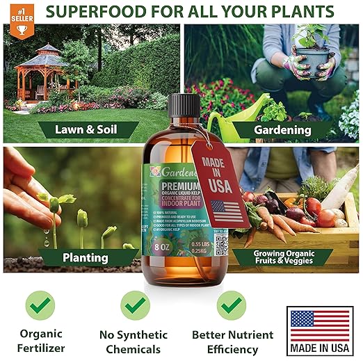 Natural Liquid Seaweed Premium Concentrate by GARDENERA [16 oz] Organic Plant Superfood for Gardening - Kelp Extract for Gardens, Lawns, Plants & Soil