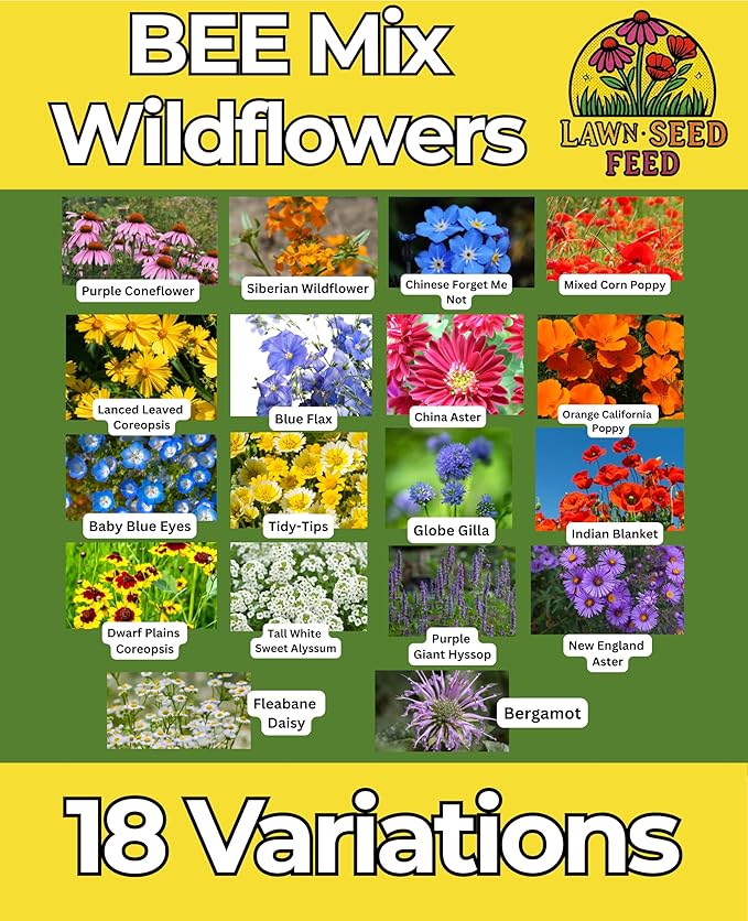Bee Wildflower Seed Mix – (2oz) - Pollinator Flower Seeds for Bees – Nectar & Pollen Rich Blooms for Honey Bees. Friendly Flower Blend for Outdoor Gardens & Meadows!