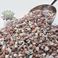 NUPICK 3lb Mix Horticultural Lava Rocks for Plants, 3/8" Colorful Succulent Potting Soil Amendments, Decorative Gravel for Cactus, Bonsai Gritty Rock, Pebbles Pumice for Vase Fillers, Top Dressing