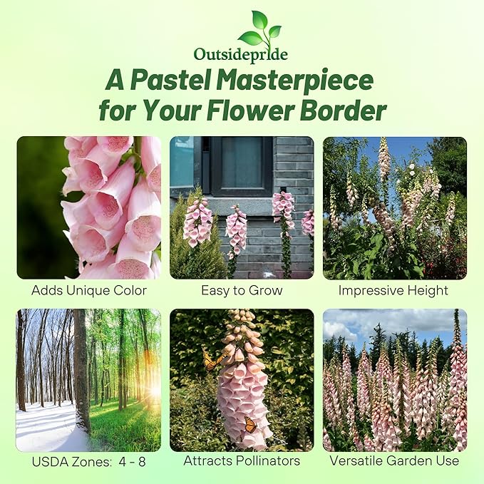 Outsidepride Digitalis Purpurea Apricot Beauty Foxglove Seeds – 10000 Pcs Biennial, Prolific, Tall Growing Flower Seeds with Pollinator-Friendly Blooms for Shaded Gardens & Outdoor Landscapes