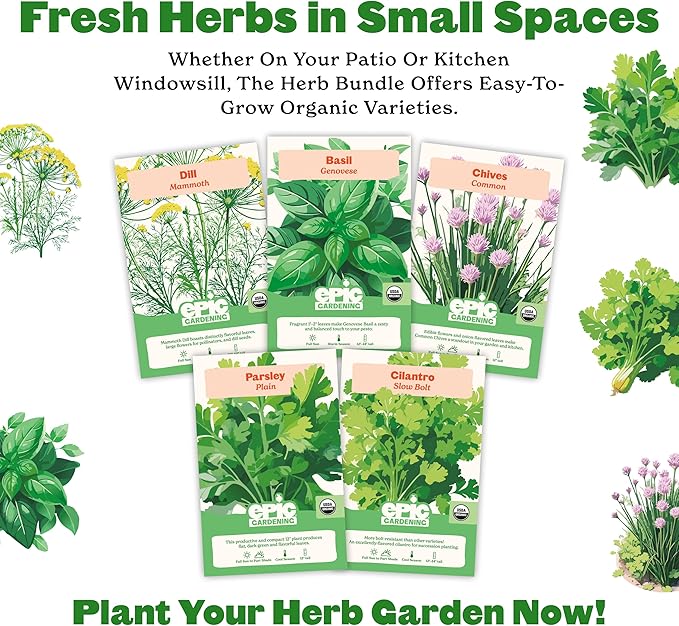 Epic Gardening Organic Herb Garden Seed Bundle - 5 Non-GMO Varieties for Cooking & Seasoning, Includes Basil, Cilantro, Dill, Chives & Parsley, Easy-to-Grow Seeds for Indoors or Outdoors