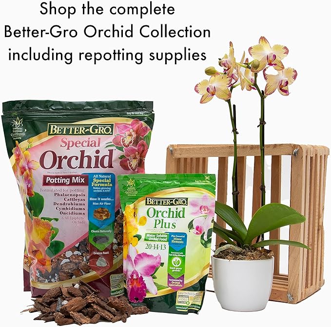 Better-Gro Special Orchid Mix - Premium Grade Orchid Bark Potting Mix, Repotting, Enhanced Drainage, Air Flow & Root Ventilation, Ideal for Phalaenopsis, Cattleyas, Dendrobiums 4 Quarts (Pack of 2)