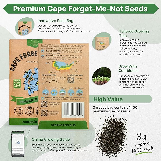 Cape Forget-Me-Not Seeds Pack 3G - Over 1,400 Non-GMO Heirloom Cape Forget-Me-Not Seeds for Planting Flowers in Individual Seed Packet, Flower Seeds for Planting Home Garden Indoor & Outdoor Gardening