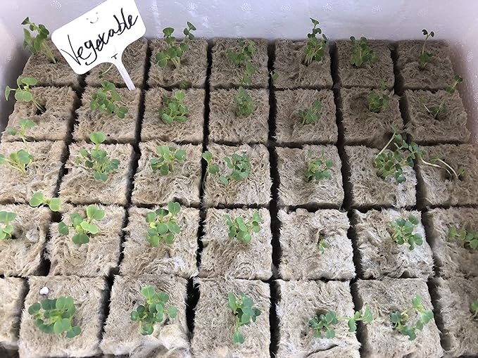1.5” Rockwool Starter Plugs for Hydroponics, Rockwool Grow Cubes, 2 Sheets of 28 Plugs 56/Set (Big)