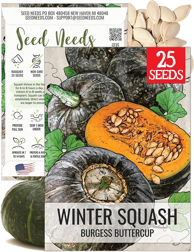 Seed Needs, Burgess Buttercup Winter Squash Seeds - 25 Heirloom Seeds for Planting Cucurbita Pepo - Non-GMO & Untreated to Plant a Home Grown Vegetable Garden (1 Pack)