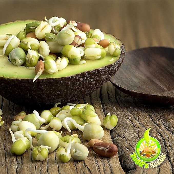 Todd’s Seeds - Protein Bean Sprouting Seed Mix - Green Pea - Mung Bean - Adzuki - Garbanzo - One Pound - Non GMO