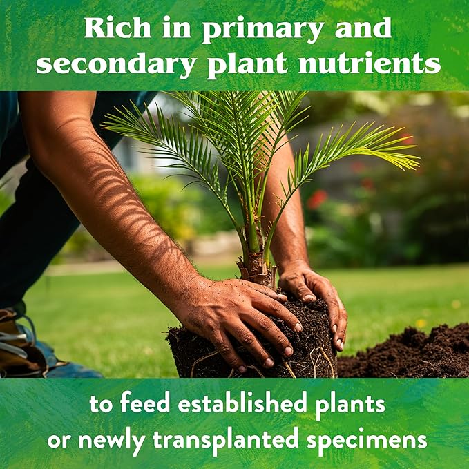 Down To Earth All Natural Fertilizers Organic Palm Tree - Plant Food for Palms, Cycads, Exotic and Tropical Plants 6-2-8, 5 lb