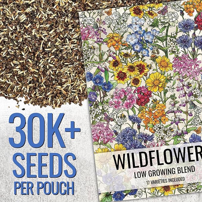 Seed Needs 2 Ounce Low Growing Wildflower Flower Seeds for Planting | Mixture/Blend 17 Varieties | Resealable Package Multicolored Blooms Open Pollinated Mixed Species | Bulk