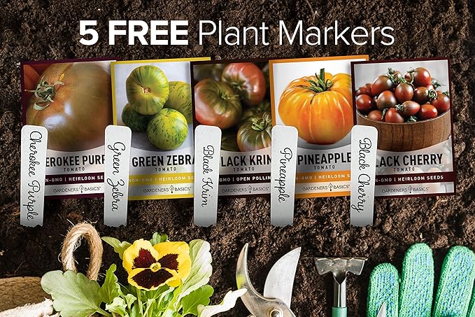Gardeners Basics, 5 Rare Tomato Seeds for Planting Variety Pack Heirloom Tomato Seeds, Cherokee Purple, Black Krim, Pineapple, Green Zebra, Black Cherry, Determinate and Indeterminate & More, Non GMO
