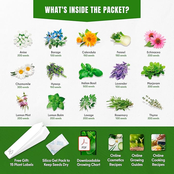 Medicinal Herb Seeds Variety Pack – Calendula, Echinacea, Lemon Balm, Hyssop & Lovage – 15 Varieties, 2950+ Non-GMO Heirloom Seeds, Indoor & Outdoor Growing