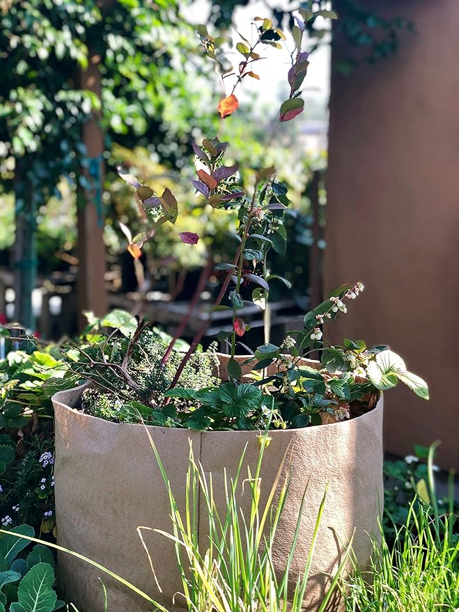 Smart Pots 15-Gallon Smart Pot Soft-Sided Container, Tan