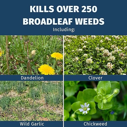 Lesco Fertilizer Plus Herbicide, Weed and Feed, 18-2-3