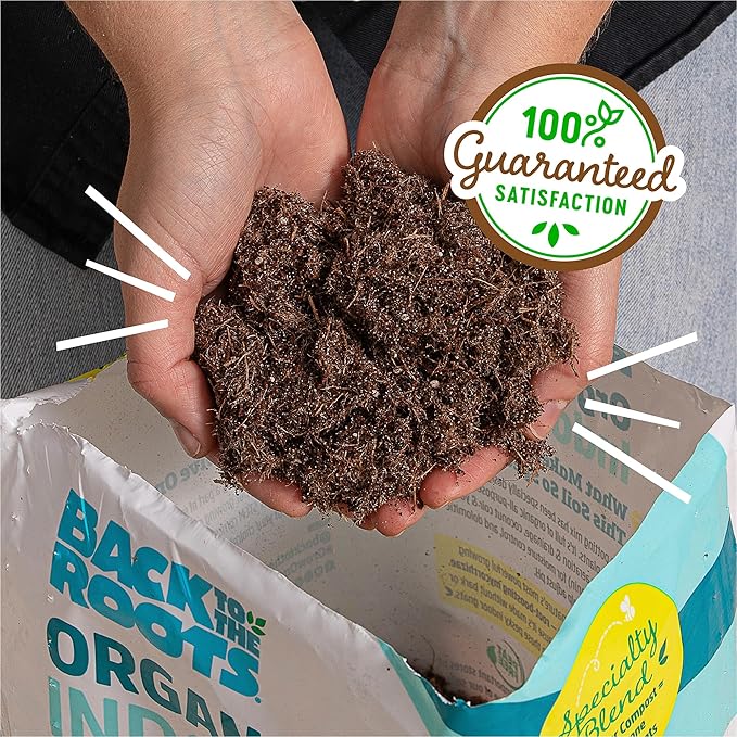 Back to The Roots 100% Organic Indoor Potting Mix (6 Quart),Promotes Healthy Houseplant Growth,Made in The USA,(Pack of 8)