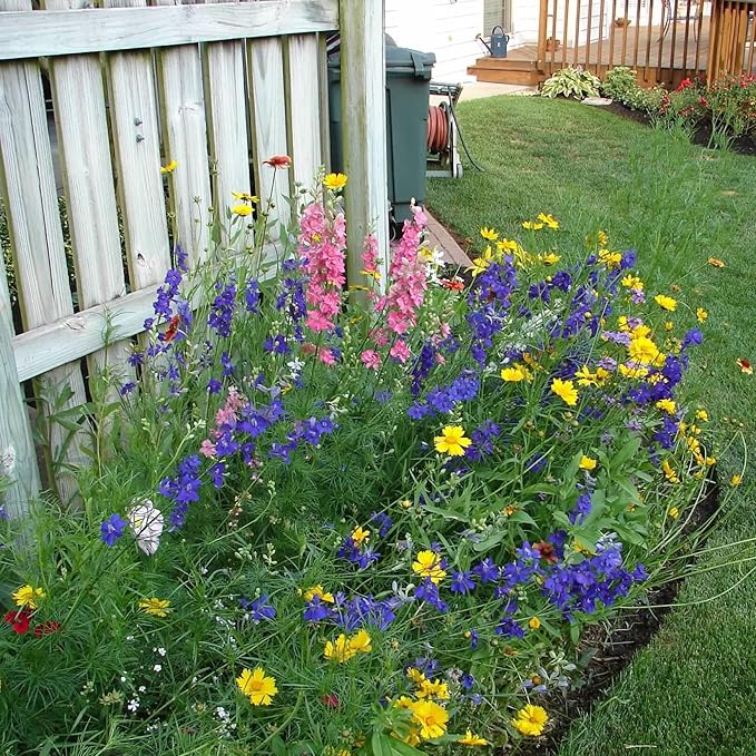 Created By Nature Indiana Wildflower Seed Mix, 16 Flower Varieties, 40,000 Seeds