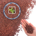 Mulctun 45Lb Horticultural Lava Rock - Succulent Soil Amendment, Decorative Cactus Soil Potting Mix, Volcanic Rock for Aquarium, Fairy Gardening Top Dressing Plant Drainage