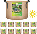 iPower 10-Pack 10 Gallon Plant Bags Heavy Duty Thickened Nonwoven Fabric Potato Growing Pot, Aeration Durable Container with Reinforced Strap Handles, Tan