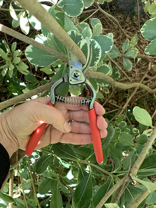 Corona Tools Forged Steel ClassicCUT Bypass Hand Pruner – 1-Inch Cut Capacity Garden Pruning Shears for Stems & Branches, Heavy-Duty Bypass Pruners for Tree, Shrub & Plant Trimming