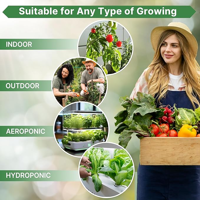 Organo Republic Swiss Chard Fordhook Seeds Pack 3.75 g - Over 200 Non-GMO Heirloom Swiss Chard Seeds for Planting Greens in Individual Seed Packet, Greens Seeds for Planting Indoor & Outdoor Garden