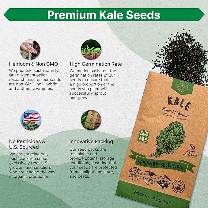 Organo Republic Kale Dwarf Siberian Seeds Pack 5 G - Over 1,650 Non-GMO Heirloom Kale Seeds for Planting Greens in Individual Seed Packet, Greens Seeds for Planting Home Garden Indoor & Outdoor