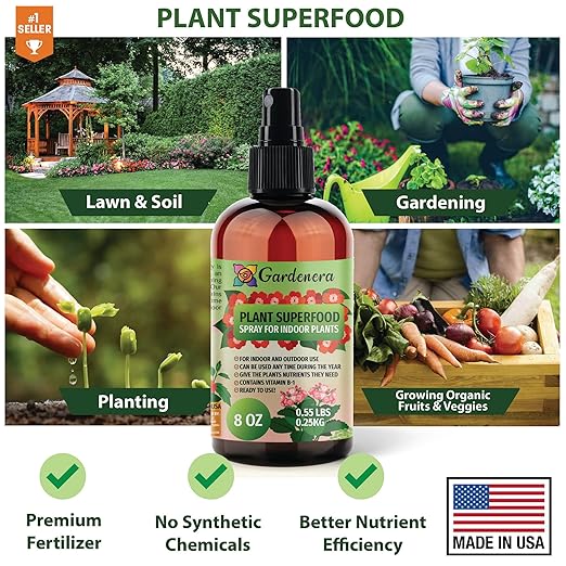 𝐁𝐄𝐒𝐓𝐒𝐄𝐋𝐋𝐄𝐑 Plant Superfood for Begonia Plants with B1 Vitamin, Glucose and Essential Minerals - Organic Plant Food Fertilizer for Indoor & Outdoor Begonia Plant Care - 8oz