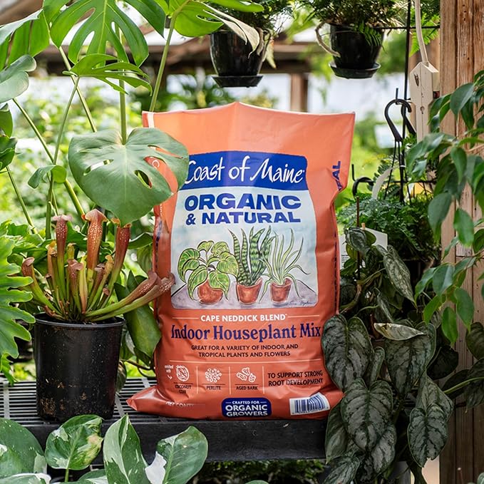 Coast of Maine (8qt) Cape Neddick Blend Organic and Natural, Indoor Houseplant Mix, Great for Indoor and Tropical Plants and Flowers