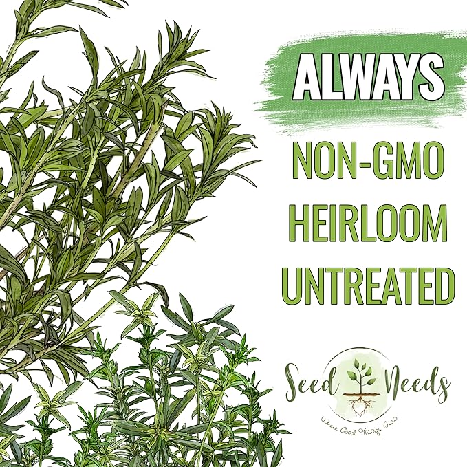 Seed Needs Savory Seeds for Planting Summer & Winter Savory Herbs - Non-GMO Heirloom & Untreated Herb Seed to Plant an Indoor/Outdoor Culinary Medicinal Garden (Collection of 2 Packets)