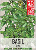 Seed Needs Lime Basil Seeds for Planting - Non-GMO Heirloom & Untreated Culinary Herb Seed to Plant an Indoor or Outdoor Home Grown Kitchen Garden (20 Packs)
