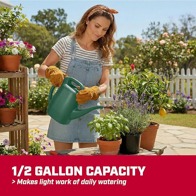Chapin 48005 Watering Can, Garden, Indoor and Outdoor Plants, Recycled Plastic, Made in USA, Black, 1/2 Gallon, Blue