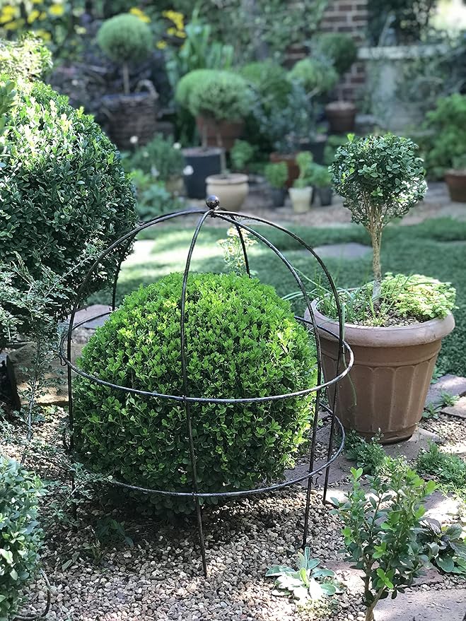 Gardener’s Supply Company Jardin Bird Cage Plant Support | Large Sturdy Grow-Through Steel Flower Trellis Garden Decor | Best for Peonies, Baptisia, Sedum & Other Perennials - 36 Inch