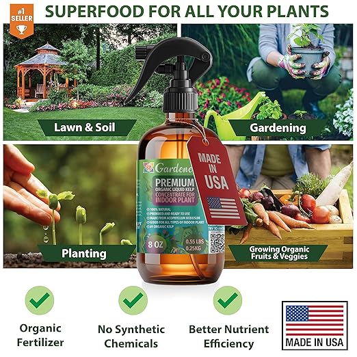 GARDENERA Professional Organic Liquid Kelp Spray for Money Tree Plants - 8 oz - Ready-to-Use Fully Organic Seaweed & Kelp Fertilizer Mist