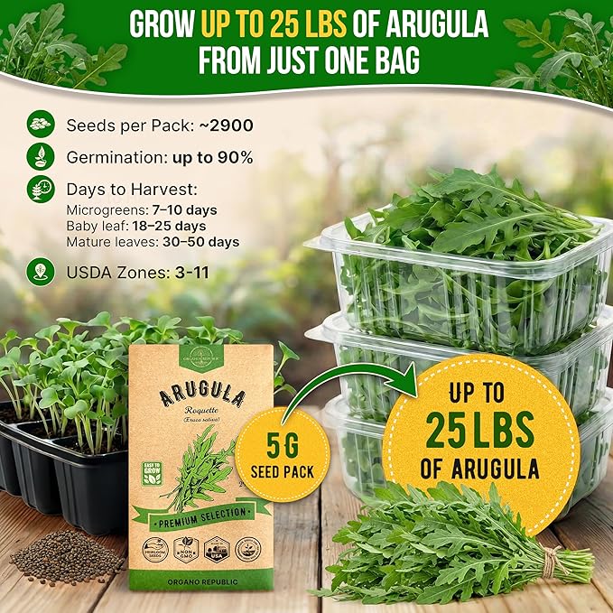 Organo Republic Arugula Roquette Seeds Pack 5G - Over 2900 Non-GMO Heirloom Arugula Seeds for Planting Greens in Individual Seed Packet, Greens Seeds for Planting Home Garden Indoor & Outdoor Garden