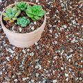 10 Quart Bonsai Soil Mix Lava, bark, Volcanic Rock, Green Zeolite and Perlite,Natural Organic Mix for Potted Plants