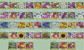 Set of 46 Valley Greene Heirloom Gardening Flower Seed Packets (46 Packs)