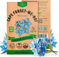 Cape Forget-Me-Not Seeds Pack 3G - Over 1,400 Non-GMO Heirloom Cape Forget-Me-Not Seeds for Planting Flowers in Individual Seed Packet, Flower Seeds for Planting Home Garden Indoor & Outdoor Gardening