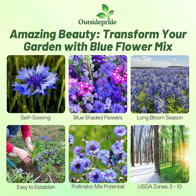 Outsidepride Blue Wildflower Seed Mix - 5000 Pcs Annual Flower Seeds for Planting w/Vibrant Blue Blooms for Garden Borders & Pollinator Gardens, Ideal for Adding Color to Landscapes & Containers