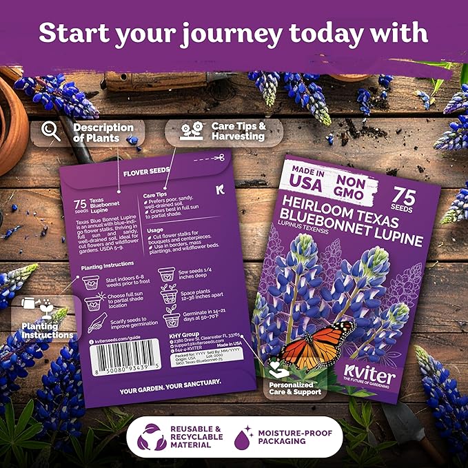 KVITER 75 Texas Bluebonnet Seeds (Lupinus Texensis) - Texas Lupine, Pollinator Friendly Wildflower, Non GMO Heirloom Seed - Annual Flower Seeds in Seed Packets for Outdoor Garden, Beds and Borders