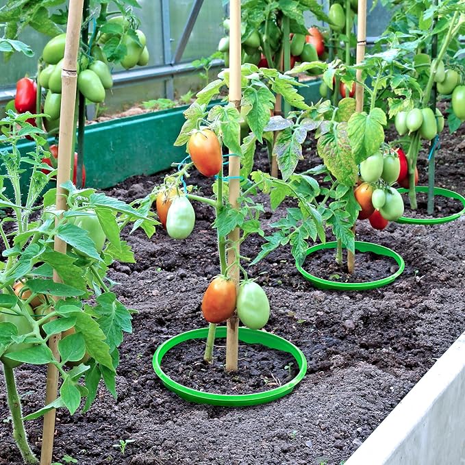 EBaokuup 6 Pcs 10 Inch Planting Grow Rings-Planting Protective Round Edging to Separate Rock and Pest-Planting Rings for Vegetables, Herbs and Flowers