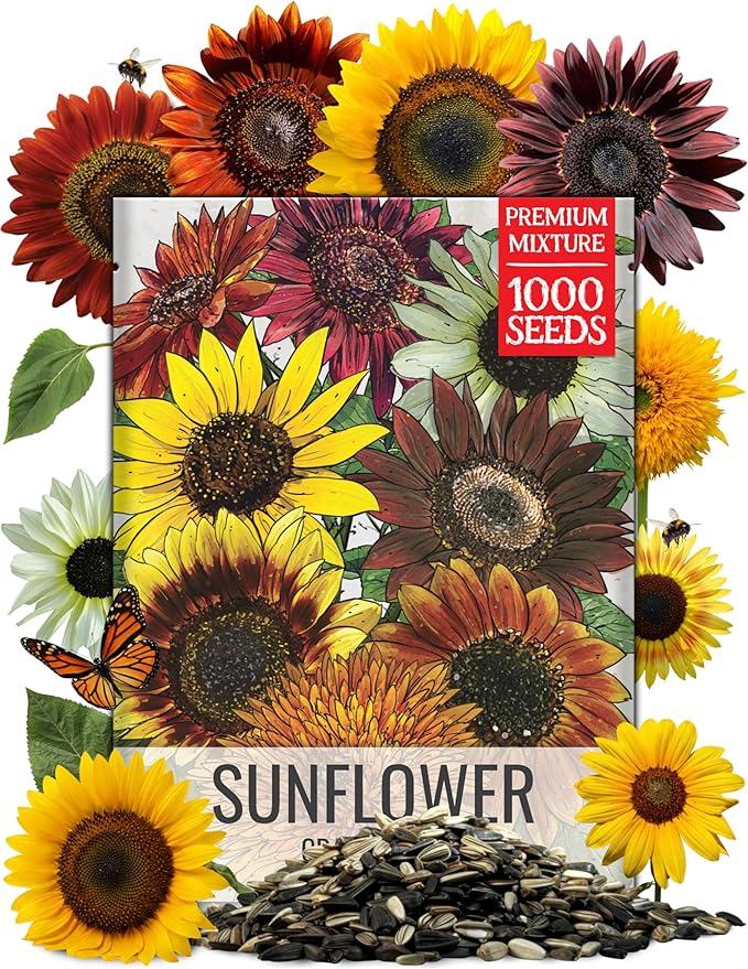 Seed Needs Sunflower Seeds for Planting The Original Crazy Blend | 1 Ounce 15+ Heirloom Varieties Open Pollinated & Untreated | Resealable Bulk Package Multicolored Blooms Flower Seeds