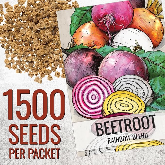 Seed Needs Rainbow Beet Seeds for Planting 8 Varieties | 1,500+ Heirloom Seeds Beet Beta Vulgaris Non GMO Untreated | Great Home Garden Favorites Vegetable Beet Seed | Bulk