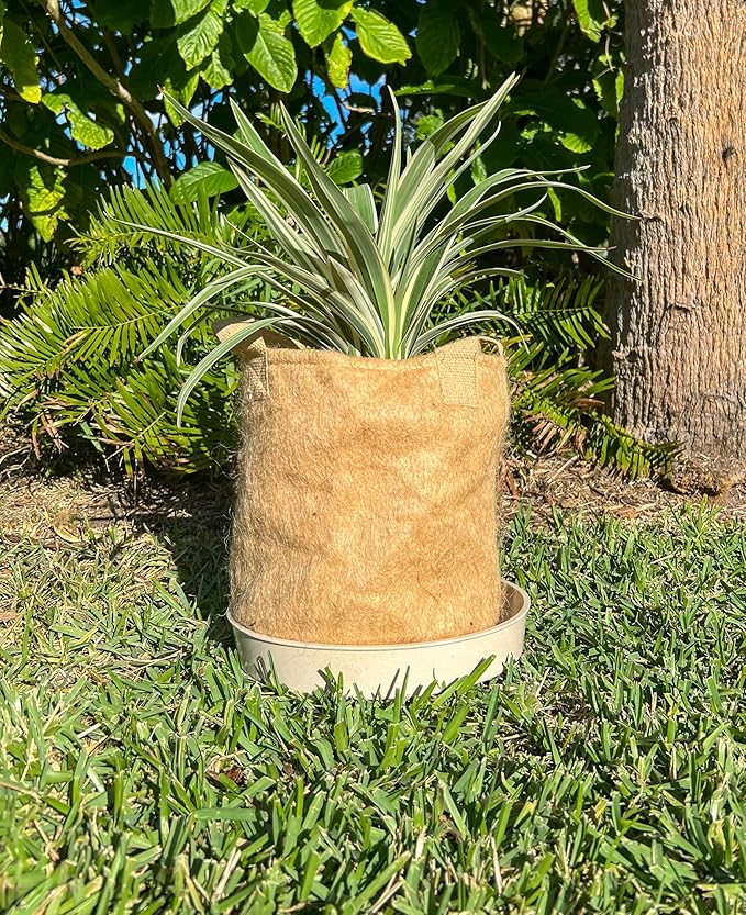 Non-Woven Jute Fabric Grow Bag with Handles, Biodegradeable Pot, 100% Natural Fiber, Breathable, Fast Root Growth, Available in 3 & 5 Gallon. (8, 5 Gallon)