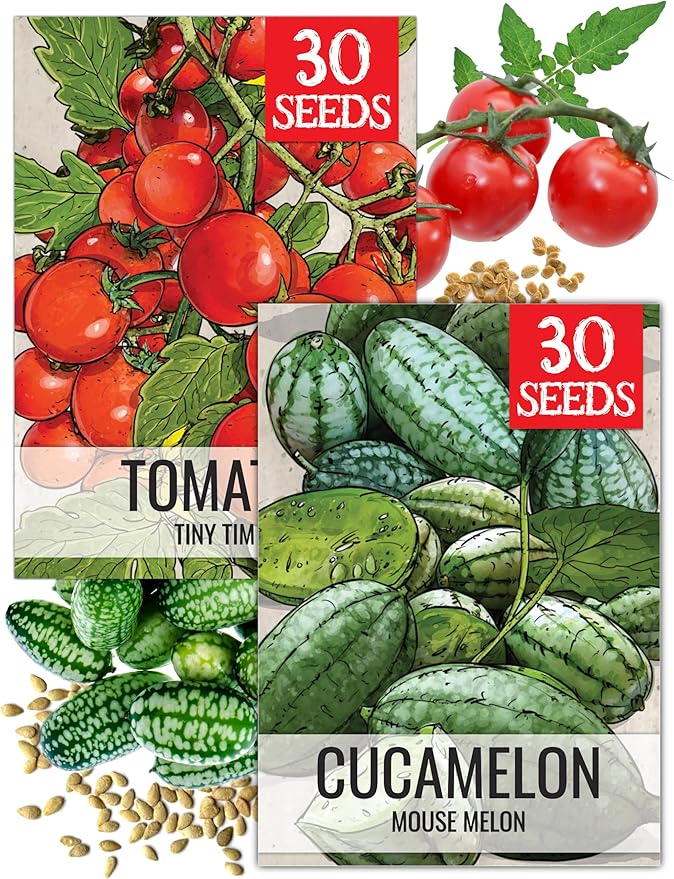 Seed Needs Vegetable Seeds for Planting Cucamelon & Tiny Tim Tomatoes - Non-GMO Heirloom & Untreated Veggie Seed to Plant an Outdoor Vegetable Garden (2 Packs)