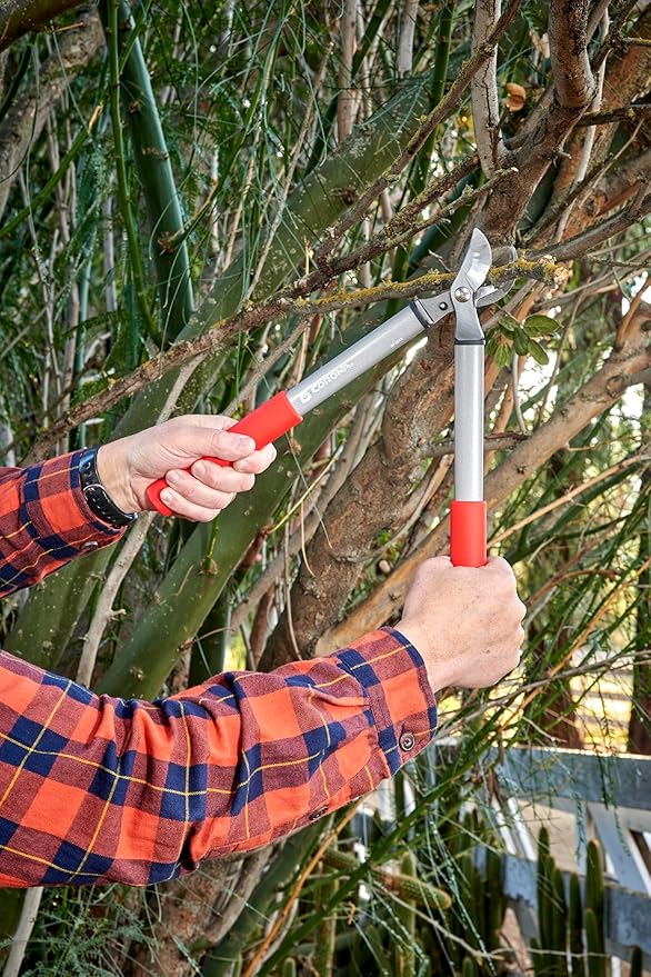 Corona BP 3225D Forged Steel ClassicCUT Bypass Hand Pruner - 3/4 inch Cut Capacity Stem and Branch Garden Shears, Red