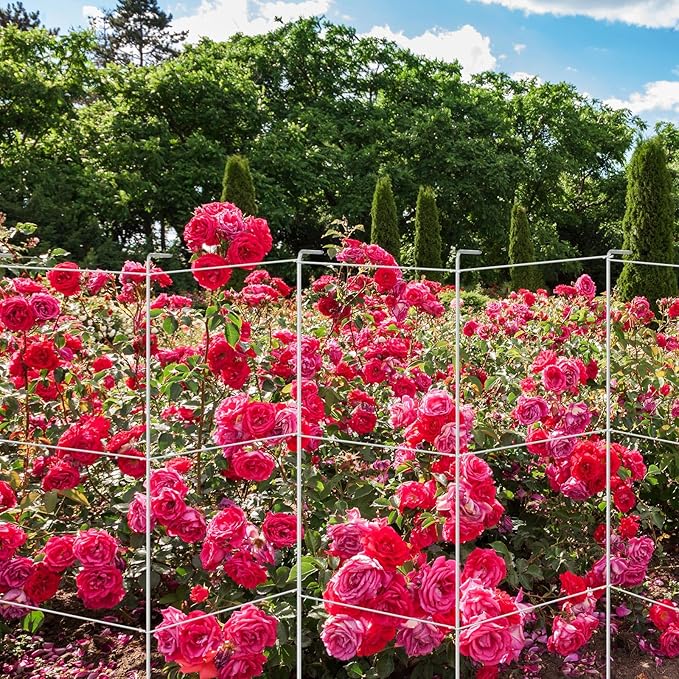 Hicarer 16 Pack Square Tomato Cage Heavy Duty Tomato Cages for Garden Vegetable Plant Trellis Stakes Plant Support Stake Tower for Climbing Vegetables Plants Flowers Fruit (15 x 36 Inches,Silver)
