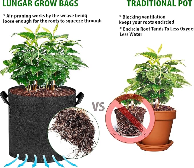 Plant Grow Bags - 5 Gallon 10 Packs Planter Pot, Thickest Aeration 300G Non-Woven Fabric, Reinforced Handles for Weatherproof Nursery Pot, Enhanced Double Seam