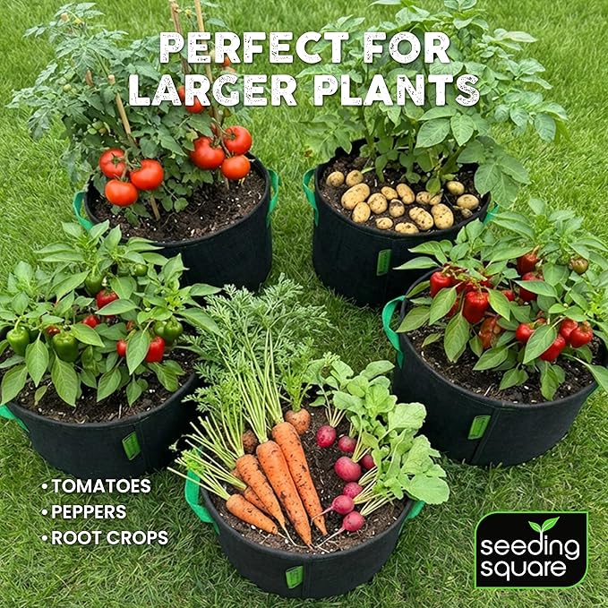 Seeding Square Fabric Grow Bags (7 Gallon) – Durable, Reusable Air-Pruning Plant Pots for Vegetables, Fruits & Herbs – Eco-Friendly Breathable Planter Bags for Healthy Roots & Bigger Harvests